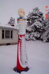 Rod Van Pelt collection snowy